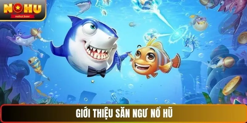 Giới thiệu săn ngư NOHU Giới thiệu săn ngư NOHU