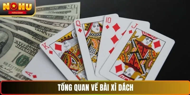 Tổng quan về bài xì dách tại NOHU Tổng quan về bài xì dách tại NOHU